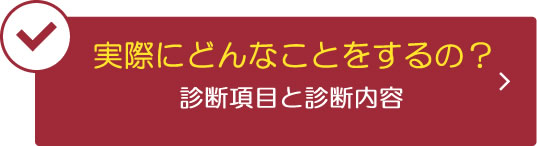 実際にどんな事をするの？診断項目と診断内容